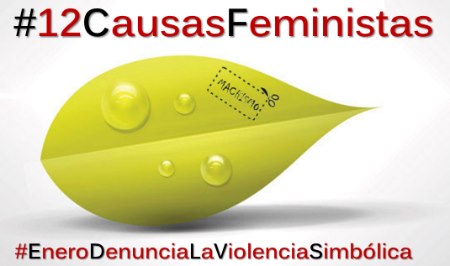 12 Causas Feministas: #EneroDenunciaLaViolenciaSimbolica